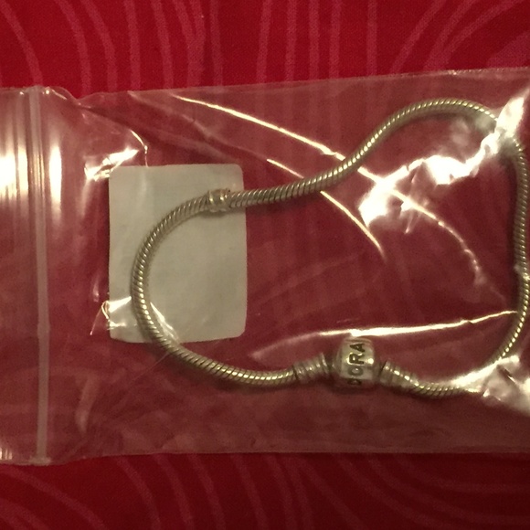 BRAND NEW Pandora Bracelet - Picture 1 of 3